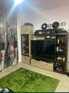 sala de estar con TV y alfombra verde en ModernStudio, en Bragadiru