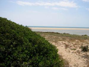 a beach with bushes and the ocean in the background at Hotel Su Giudeu in Chia
