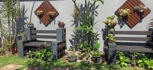 Zahrada ubytování Casas Bom Sono