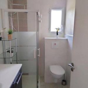 een witte badkamer met een toilet en een douche bij meublé entier indépendant en contigu de ma maison in Saint-Georges-sur-Moulon