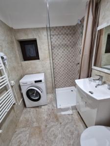 a bathroom with a washing machine and a sink at DREAMS ESCAPE in Craiova