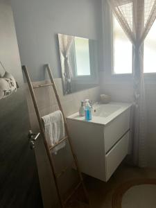 La salle de bains est pourvue d'un lavabo blanc et d'un miroir. dans l'établissement Chez Saliha et Serge, à Lamarche-sur-Saône