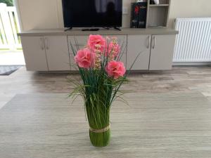 Et tv og/eller underholdning på Beautiful Cornish Getaway - Newperran Holiday Resort