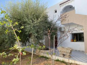a garden in front of a house with a tree at Djerba Dar BAYA in Houmt Souk