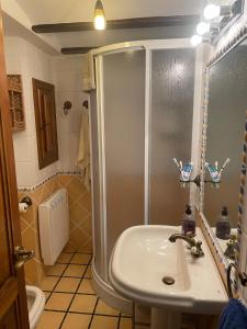 y baño con lavabo y ducha. en CASA RURAL SAN JULIAN en Villahermosa del Río