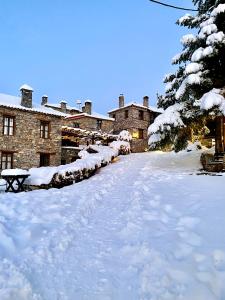 a snow covered path in front of a building at 4 Seasons Premium Chalet in Palaios Agios Athanasios