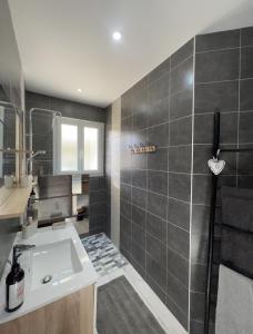 La salle de bains est pourvue d'un lavabo et d'une douche. dans l'établissement Chez Saliha et Serge, à Lamarche-sur-Saône