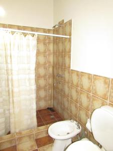 a bathroom with a toilet and a shower and a sink at El mirador de iruya in Iruya