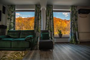 a living room with a green couch and a window at Hanul Doctorului Badeni-Runcu in Runcu