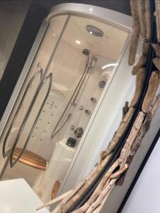 a glass room with a shower in a room at Gite Au champ du bouillon proche de Pairi Daiza wellness en option in Chièvres