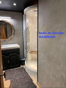 een badkamer met een koelkast, een wastafel en een spiegel bij Gite wellness Au champ du bouillon proche de Pairi Daiza et de la ville Ath 