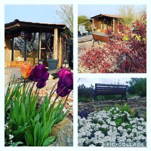 drie foto's van een tuin met bloemen en een bankje bij Gite wellness Au champ du bouillon proche de Pairi Daiza et de la ville Ath 