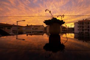 a vase with a plant on a table with a sunset at Gold Coast Photography Inn in Estoril