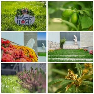 a collage of pictures with flowers and a sign at Gold Coast Photography Inn in Estoril