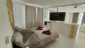 a living room with a couch and a flat screen tv at Pensaò Big Game Maio in Vila do Maio