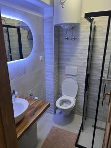 een badkamer met toilet en wastafel bij Apartman D&D Šišava Vlašić in Vlasic
