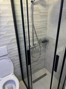 een badkamer met douche en toilet bij Apartman D&D Šišava Vlašić in Vlasic