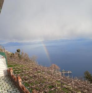 Gallery image of Residence Eden in Furore +163 photos