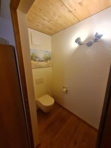 A bathroom at Großzügige Ferienwohnung am Skigebiet Bödele mit Rheintalblick