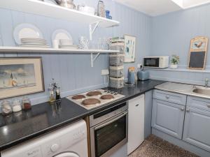 uma cozinha com uma bancada e um forno com placa de fogão em Equine Studio Annexe em Clarbeston
