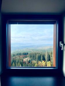 a window with a view of a forest at Apartman Deluxe Štrbské Pleso in Vysoke Tatry - Strbske Pleso