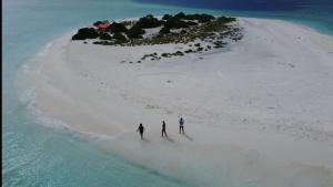 Paesaggio naturale nelle vicinanze dell'affittacamere