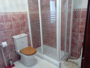 a bathroom with a toilet and a shower at Casa Los Lagares in Peral de Arlanza