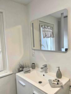 uma casa de banho com um lavatório e um espelho em La Maison Du Bois Flotté em Boulogne-sur-Mer
