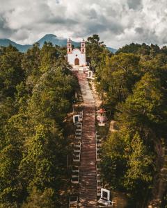 un edificio en medio de un bosque con escaleras que conducen a él en Hotel Casa del Zocalo, en Tlatlauquitepec