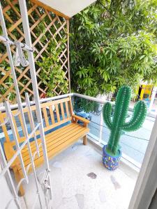 un banco de madera sentado en un porche junto a un cactus en Hotel Tranvia, en Santa Marta