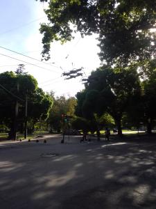 Une intersection avec les gens traversant une rue avec des arbres dans l'établissement Plaza España, à Mendoza