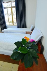 Lạng SơnにあるKhách Sạn Đông Phươngのベッドルーム1室(ベッド1台、テーブル上の植物付)