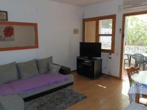 een woonkamer met een bank en een televisie bij Casa Deltebre, 2 dormitorios, 4 personas - ES-184-45 in Riumar