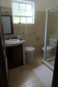 La salle de bains est pourvue d'un lavabo, de toilettes et d'une fenêtre. dans l'établissement Tropical Garden Self Catering, à Victoria