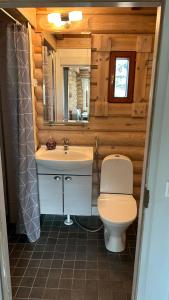 a bathroom with a toilet and a sink and a mirror at Villa Laakson Helmi 1 с камином, сауной, SPA, на берегу озера in Himos