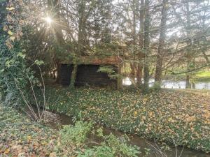 a house in the woods with leaves on the ground at Fisherman's Cabin on the banks of the River Meon in Southampton