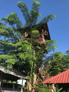 une cabane dans les arbres avec du lierre grandissant sur son côté dans l'établissement Mae Chan Treehouse with swimming pool, à Mae Chan