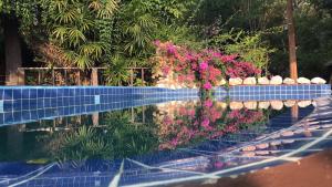 Kolam renang di atau dekat dengan Mae Chan Treehouse with swimming pool