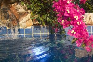 Kolam renang di atau dekat dengan Mae Chan Treehouse with swimming pool