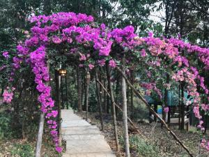 Taman di luar Mae Chan Treehouse with swimming pool