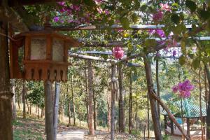 Taman di luar Mae Chan Treehouse with swimming pool
