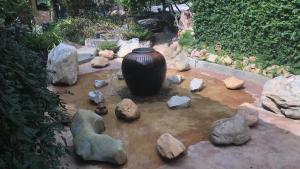 Taman di luar Mae Chan Treehouse with swimming pool