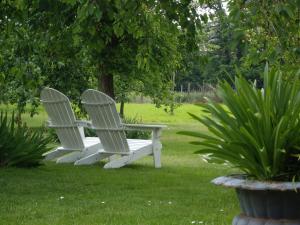 two white chairs sitting in the grass under a tree at B&B Schoon Goed in Gingelom