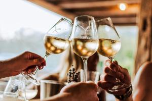 a group of people holding up wine glasses at Hotel Ryzlink in Mikulov