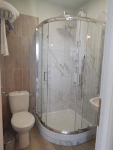 uma casa de banho com um chuveiro, um WC e um lavatório. em AKTES PIERIAS (GARDEN ROOMS) em Paralia Katerinis