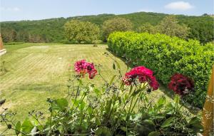 AubasにあるBeautiful Home In St Amand De Colyの畑の赤花群