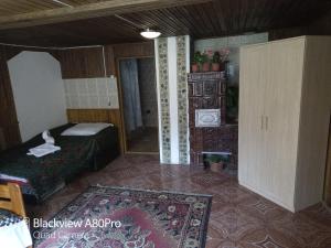 ein Schlafzimmer mit einem Bett und ein Zimmer mit einem Teppich in der Unterkunft Pensiunea Irina 3 in Zărneşti