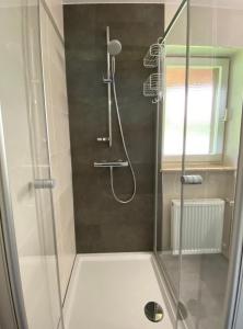 een douche met een glazen deur in de badkamer bij Schwarzwaldidyll in Todtmoos