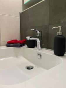 a bathroom sink with a soap dispenser on it at Schwarzwaldidyll in Todtmoos