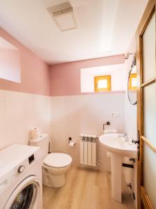 a bathroom with a toilet sink and a washing machine at Casa Rural Picu Llagos in Cangas de Onís